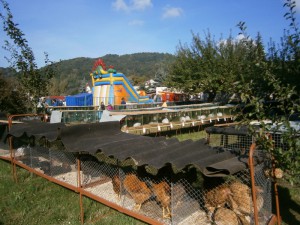 201309280046.jpg